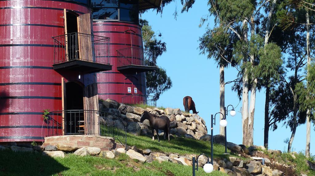 Hotel Fazenda Pampas Канела Екстериор снимка