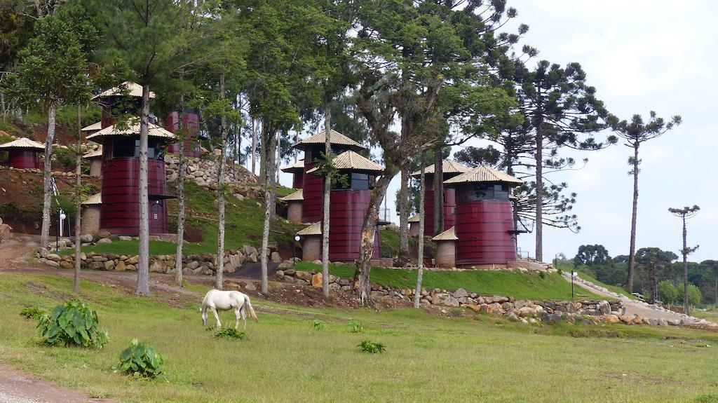 Hotel Fazenda Pampas Канела Екстериор снимка